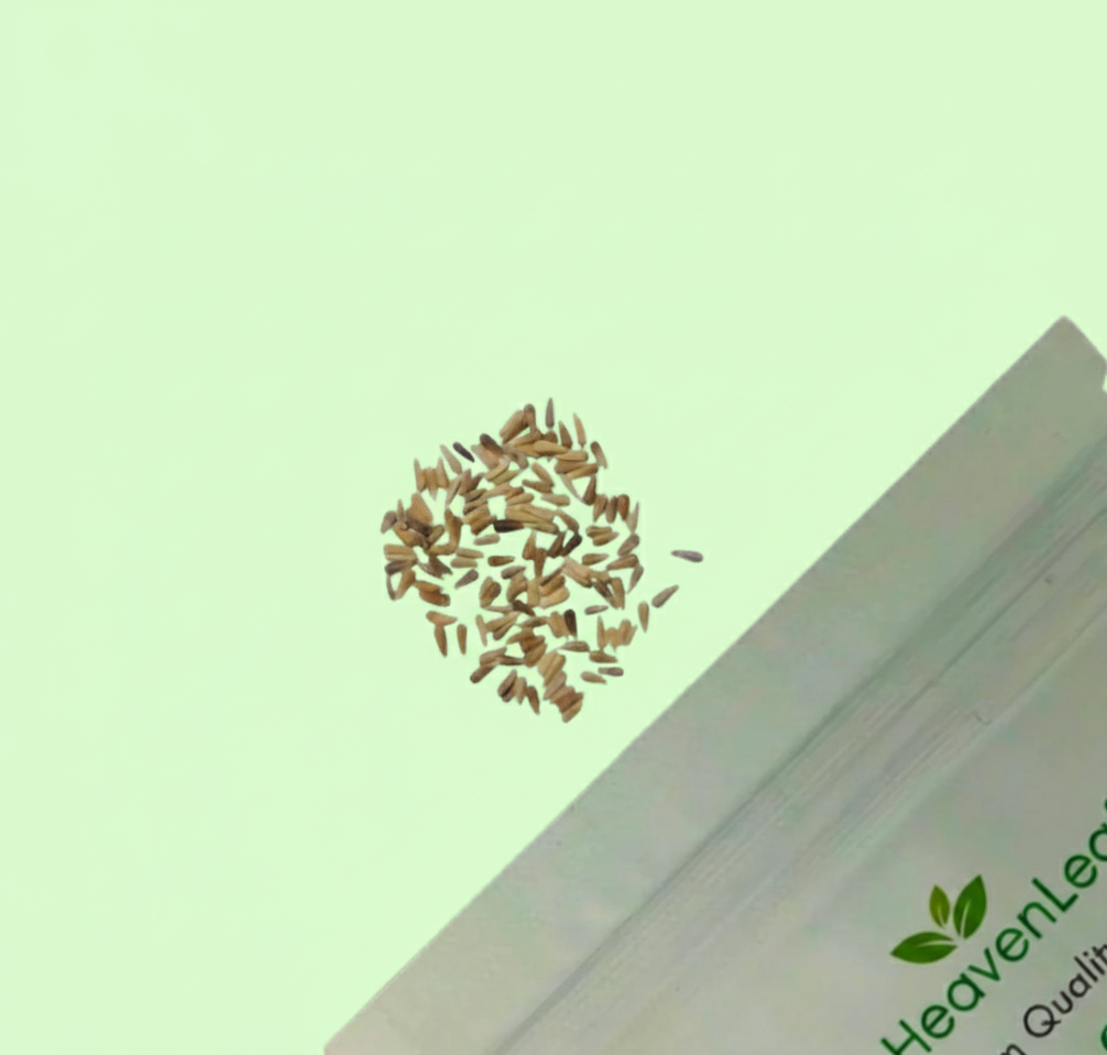 Aster Formula Mix Seeds (100 Seeds)