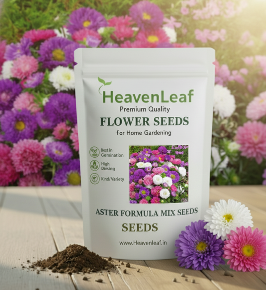 Aster Formula Mix Seeds (100 Seeds)