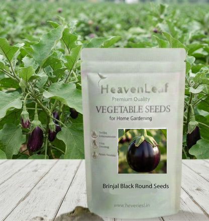 Brinjal Black Round 50-60 seeds