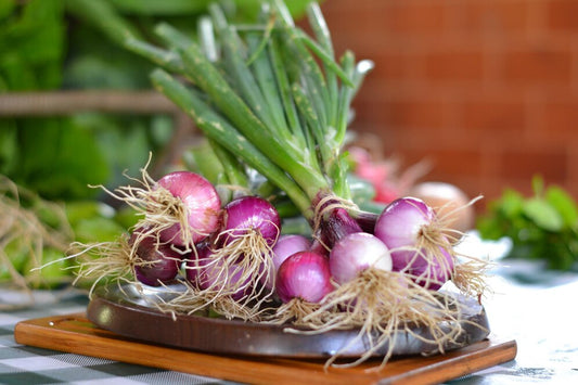 Red Onion Seeds (लाल प्याज) | Vegetable Seeds (50-60 seed)