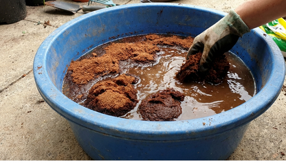 cocopeat powder 300gm