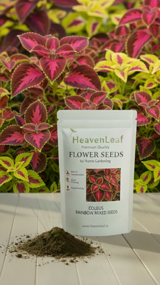 Colesus Rainbow Mixed (160-200seeds)