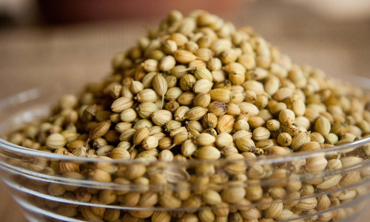 Desi Coriander Seeds (धनिया) |1000 Seeds