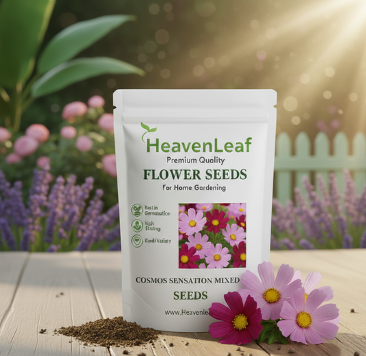 Cosmos Sensation Mixed Seeds (100 Seeds)