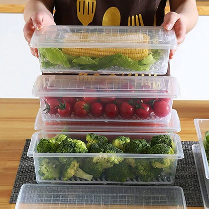 Vegetables & Fruits Freezer Storage Container(pack of 5)