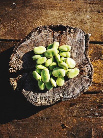 Hyacinth Beans Sem Fali Dwarf (सेम फली) | Vegetable Seeds (15-20 seeds)