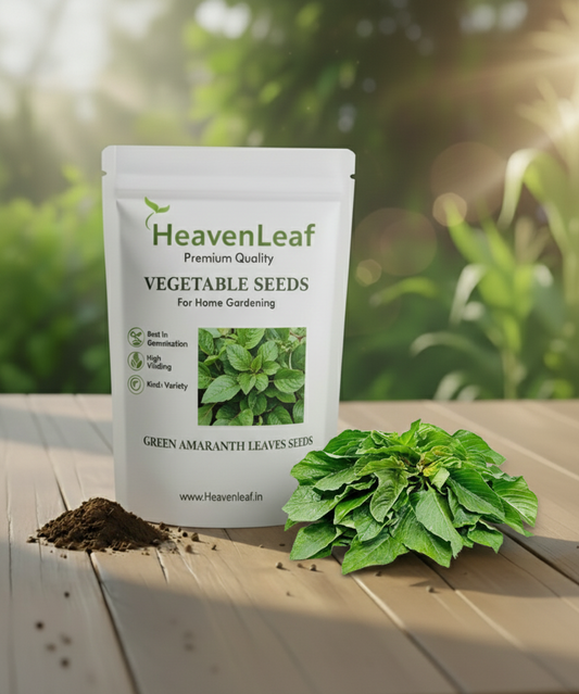 Green Amaranth Leaves Seeds(5g) (चौलाई भाजी के बीज)