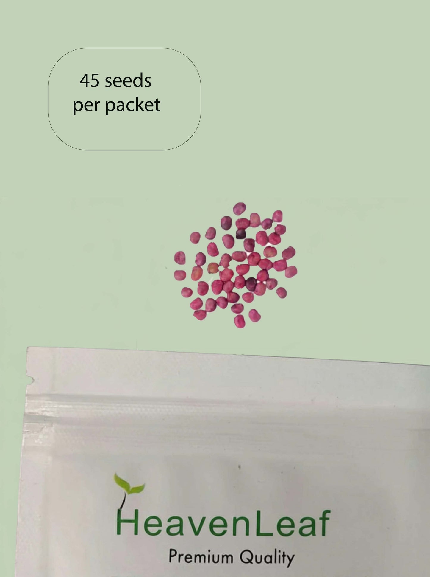 Gwar Phali F1  Seeds - 45 Seeds (Cluster Beans/क्लस्टर बीन्स/ग्वार फली के बीज)