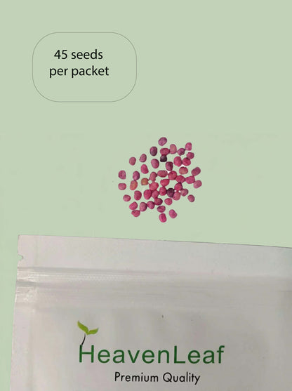 Gwar Phali F1  Seeds - 45 Seeds (Cluster Beans/क्लस्टर बीन्स/ग्वार फली के बीज)
