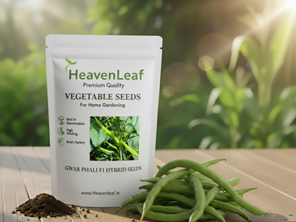 Gwar Phali F1  Seeds - 45 Seeds (Cluster Beans/क्लस्टर बीन्स/ग्वार फली के बीज)