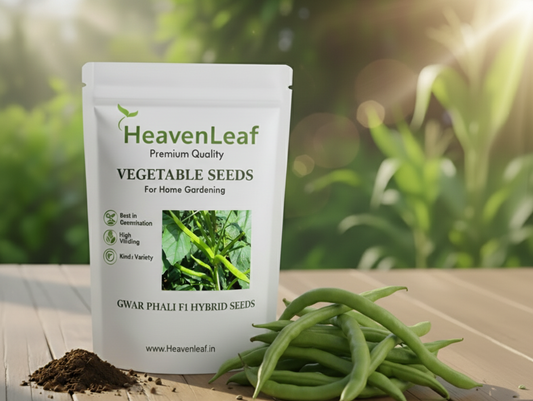 Gwar Phali F1  Seeds - 45 Seeds (Cluster Beans/क्लस्टर बीन्स/ग्वार फली के बीज)