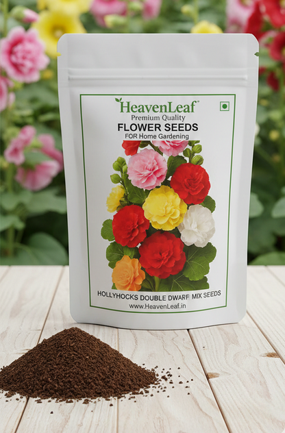 Hollyhocks Double Dwarf Mix Seeds(40-50seeds)