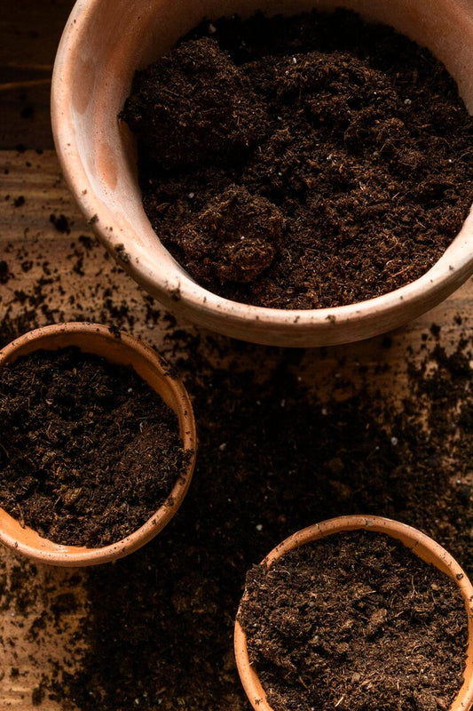 Cow Dung mix of soil 1 kg