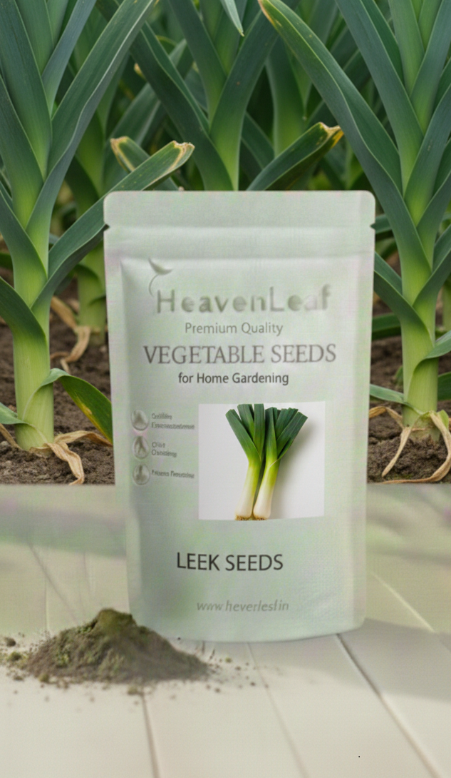 Leek Seeds - 400-500Seeds (Hari Pyaj/लीक के बीज)