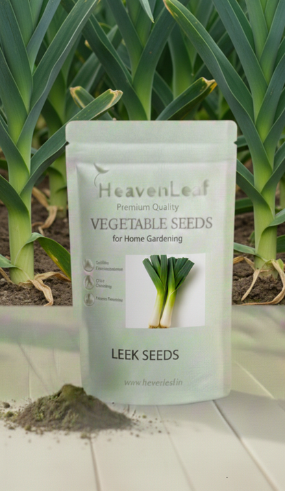Leek Seeds - 400-500Seeds (Hari Pyaj/लीक के बीज)