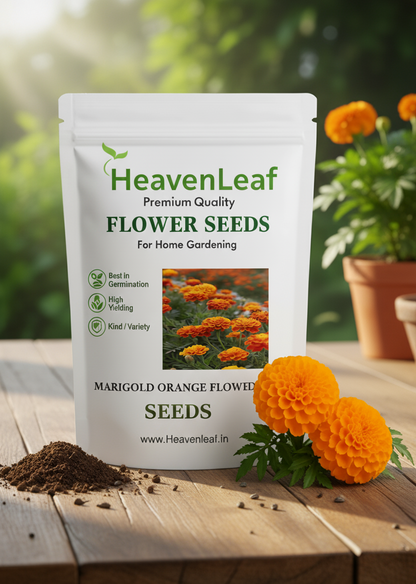 Marigold Orange Flower Seeds (गेंदा) | Flower Seeds(90-100seeds)