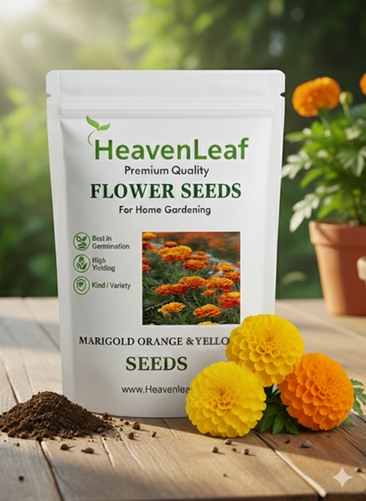 Marigold Yellow and orange Flower Seeds (गेंदा)(50-60seeds)