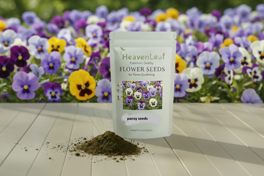 Pansy Seeds (100-150seeds)