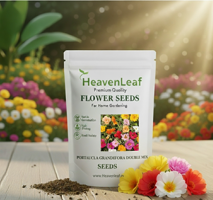 Portulaca Grandiflora  Double Mix Seeds (500 Seeds)