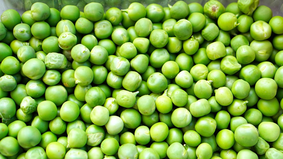 Peas (Matar) Seeds - 50-60 Seeds (मटर के बीज)