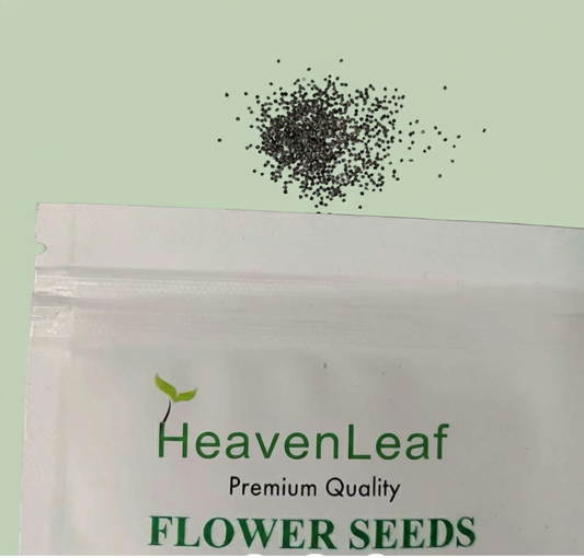 Portulaca Grandiflora  Double Mix Seeds (500 Seeds)