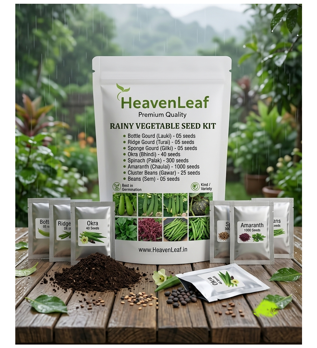 Rainy Season Vegetable Seeds Kit (Monsoon Special)