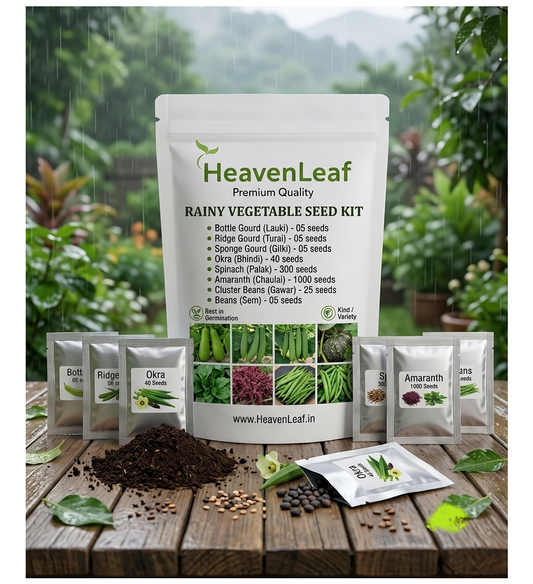 Rainy Season Vegetable Seeds Kit (Monsoon Special)