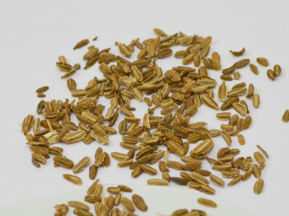 Carrot Red Deep Desi (लाल गाजर) | Vegetable Seeds(500-550 seeds)