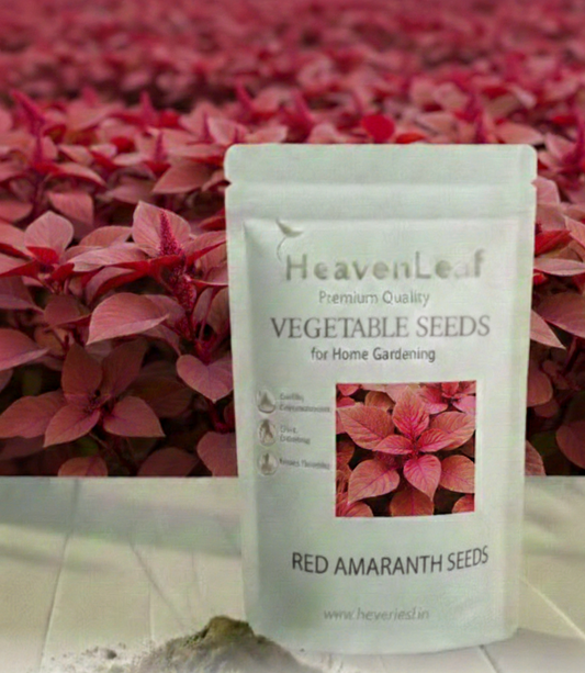 Red amaranth (lal bhaji) Seeds - 5g